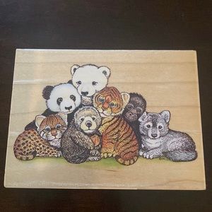 All Night Media Wildlife Babies